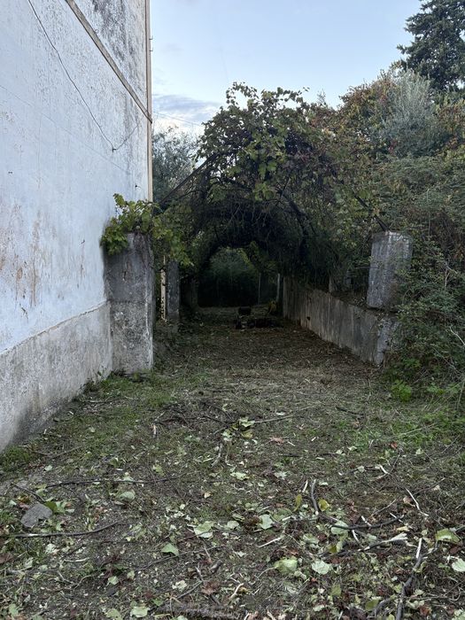 Limpeza / manutencões de terrenos