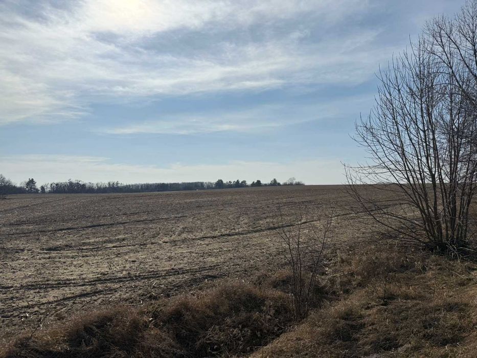 Продаєм землю тер. Скригалівської с/р, Фастівський рай., Київська обл.