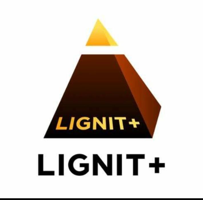 Буре вугілля (лігніт) від виробника