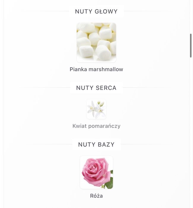 Rose Marshmallow Candy Zara dla kobiet 60 ml