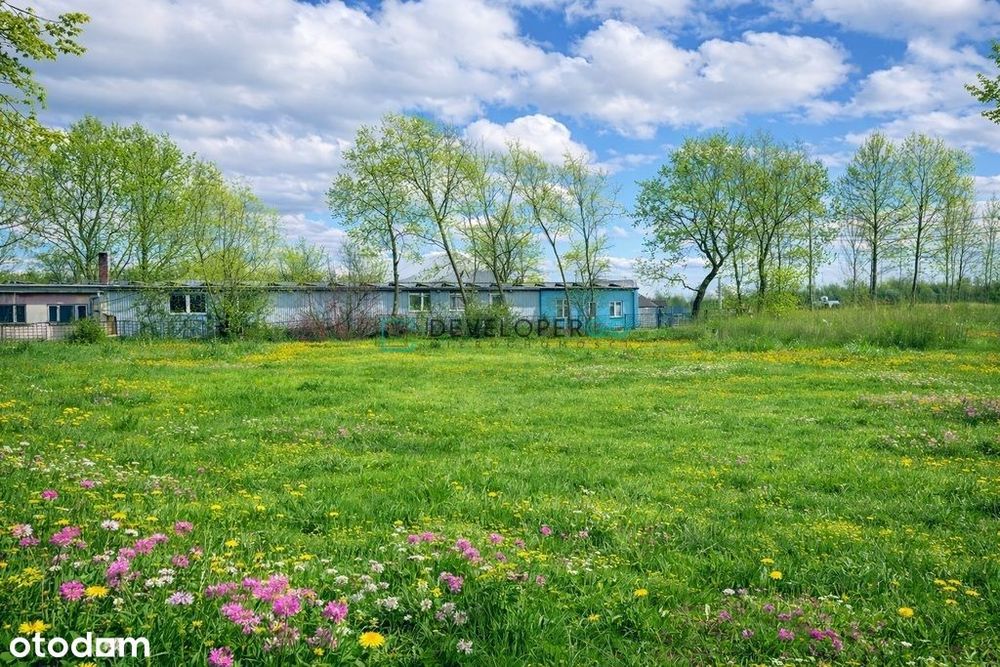 2500 m2 przy asfalcie, uzbrojona