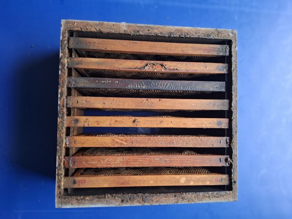 Meias alças abelhas