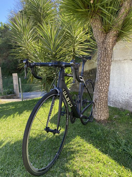 Canyon Ultimate Carbono