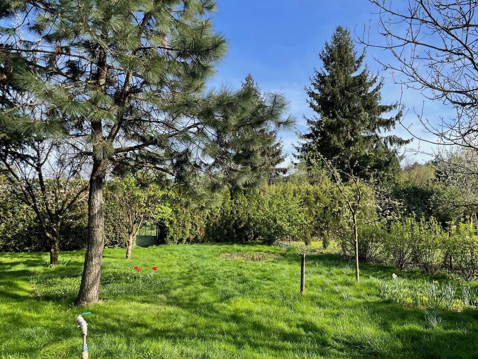 Działka ROD w Milanówku z komfortowym domkiem - Widok 3