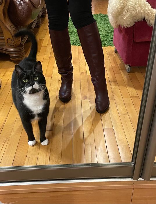 Чоботи шкіряні жіночі