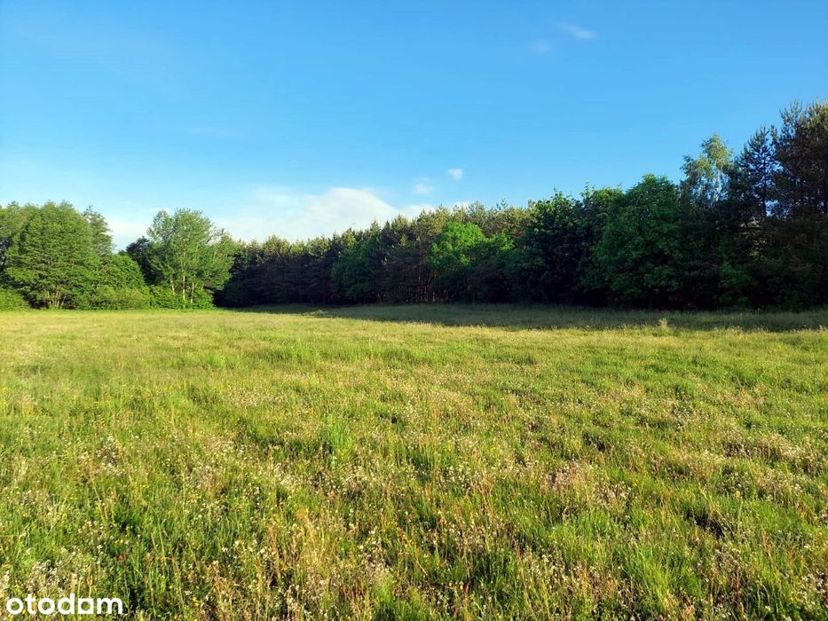 Malownicza działka 7,61 ha z warunkami zabudowy