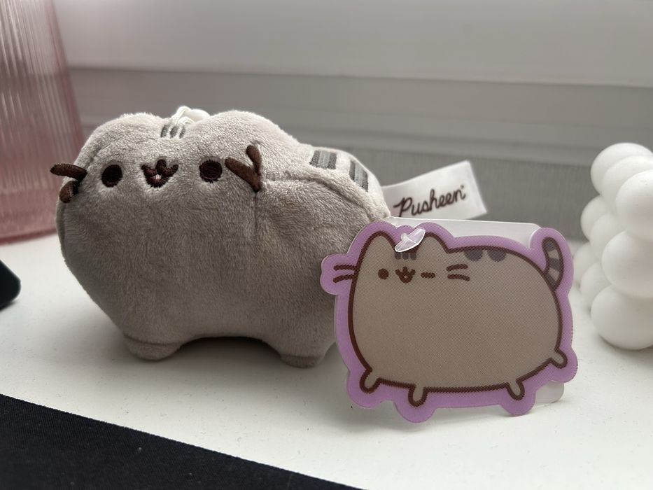 Pusheen, maskotka z zawieszką, 10 cm