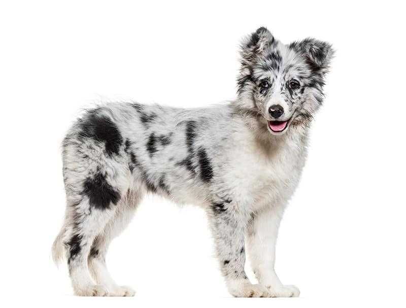 Pogotowie Komputerowe – Fachowa pomoc 7 dni w tygodniu