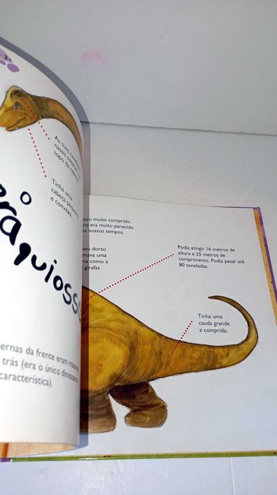 Branquiossauro, o maior de todos os Dinissauros