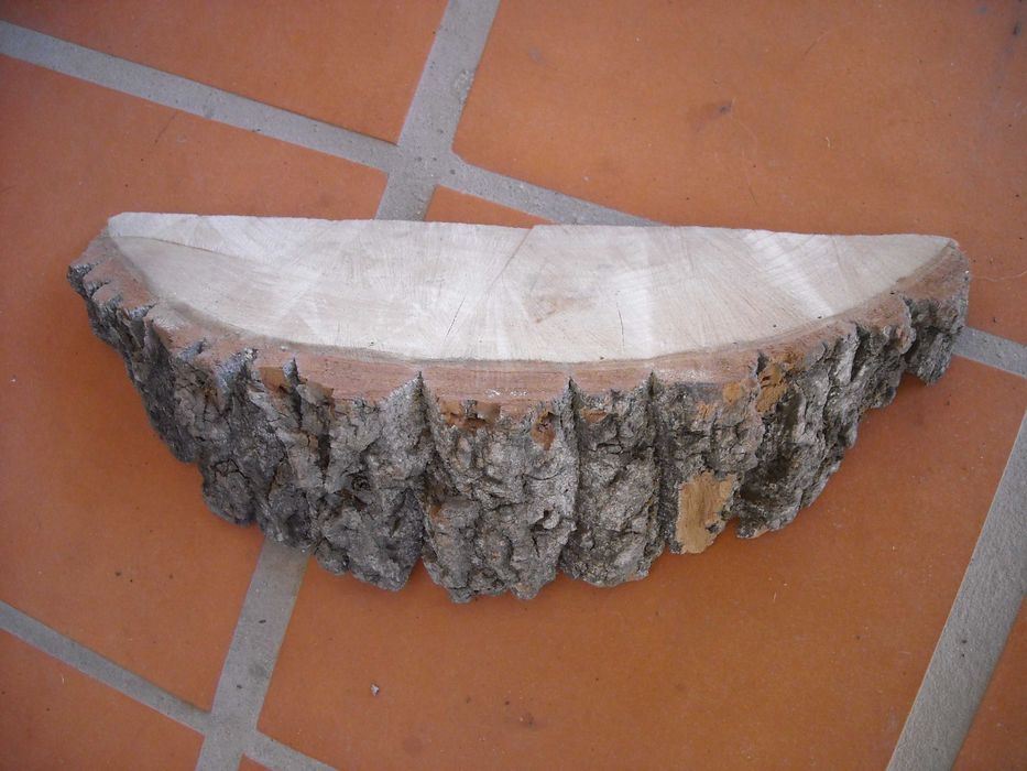 Casca rodela tronco fatia cortiça aquario terrario decoraçao