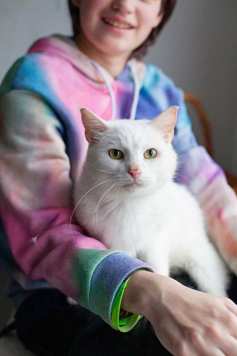 Віддам у добрі руки