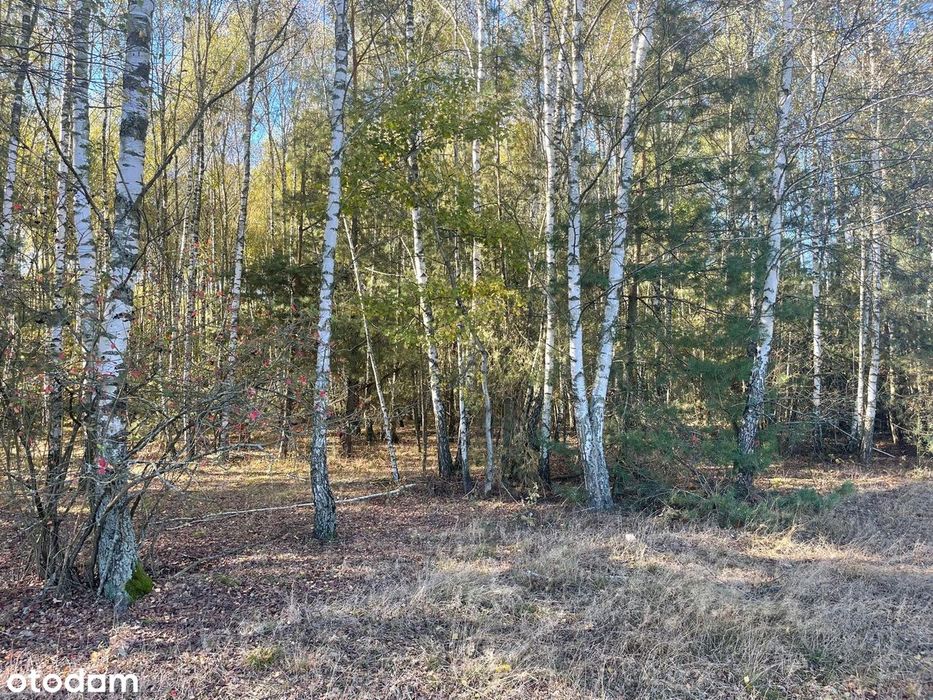 Budowlane- MPZP. Żabieniec blisko Garwolina i Pilawy.  1405 m² - 40x35 - Widok 4