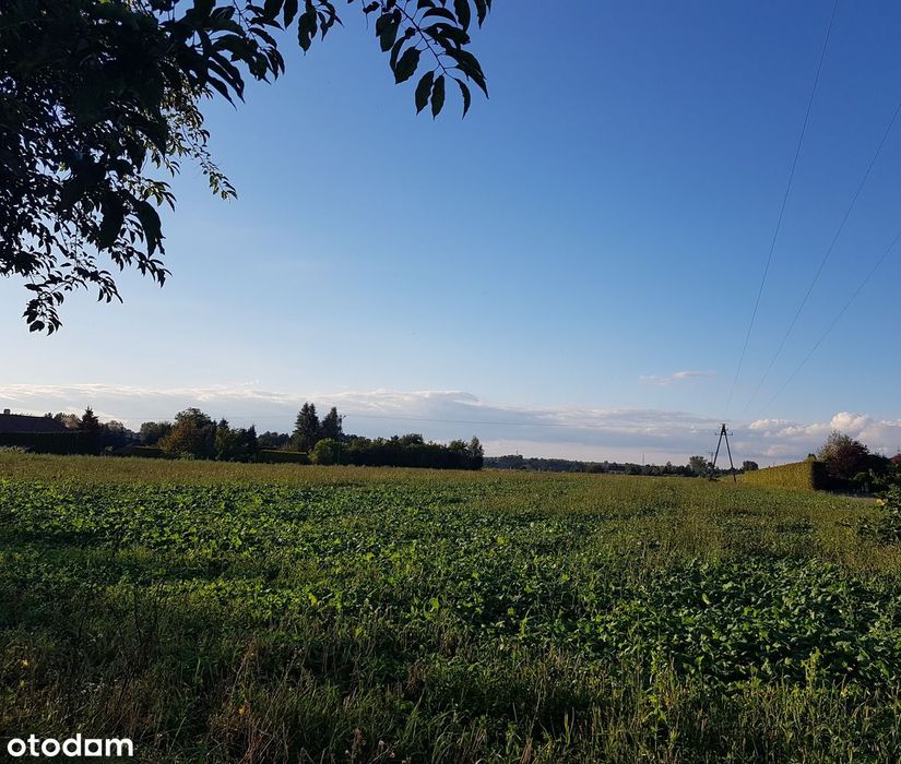 Sprzedam działki budowlane w Ćwiklicach (Pszczyna- Ćwiklice) - Widok 5