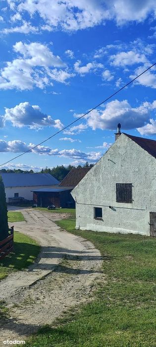 Dom-siedlisko z dużą działką