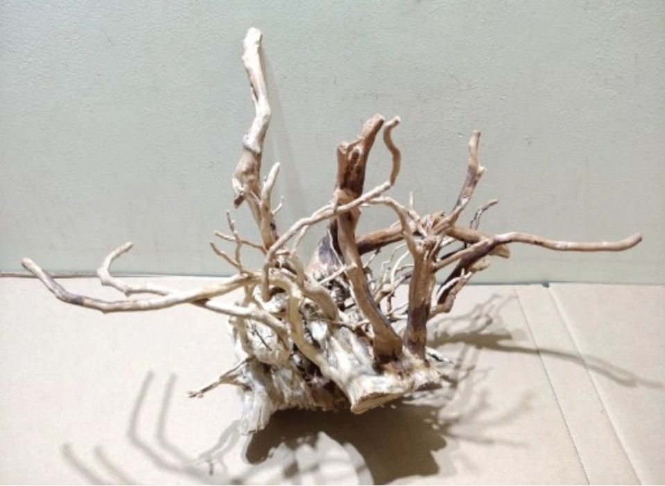 Korzeń Red Moor do akwarium