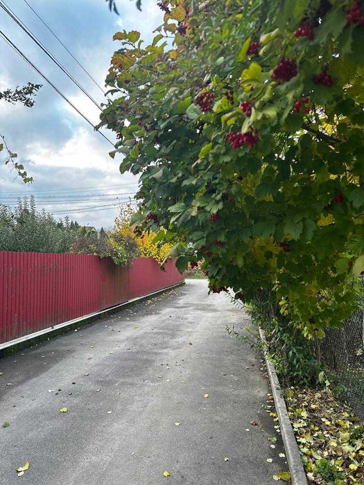 продаж Будинку, 106м2, с.Селище (Гнівань), 60тис