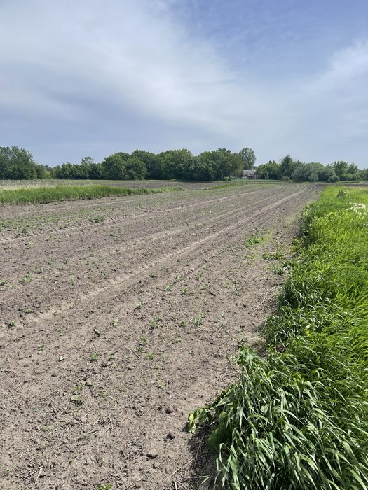 Земельна ділянка