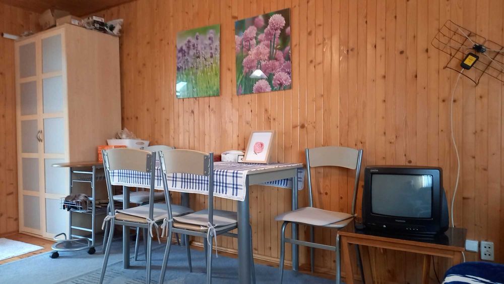 Działka ROD *Zalesiany* na sprzedaż, Niewodnica Kościelna, pow. 451 m2