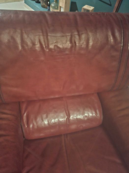 Sofas em pele estilo antigo