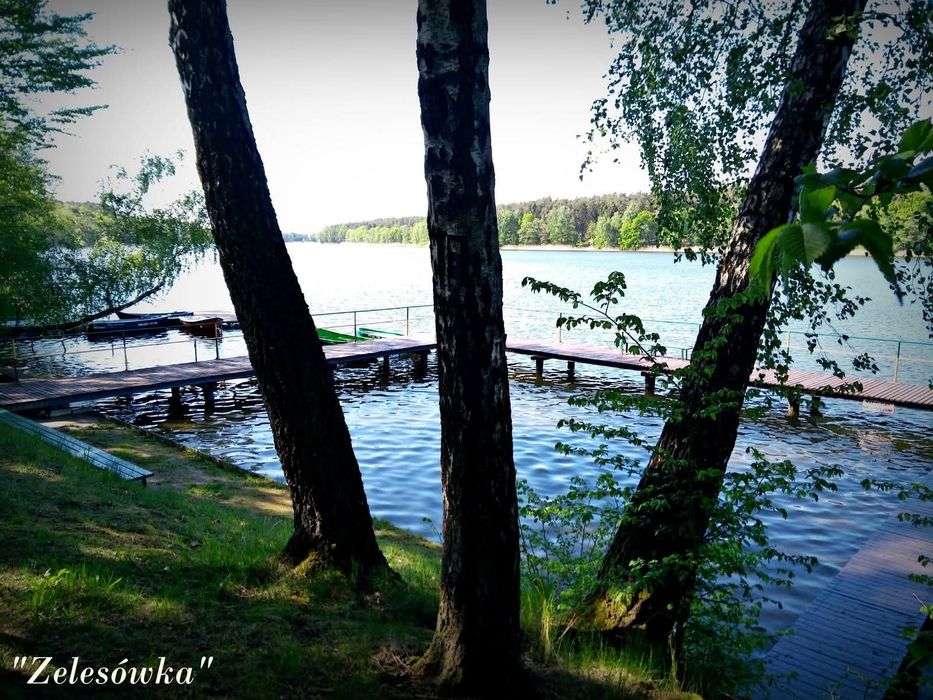 Pokoje nad jeziorem Wądzyn