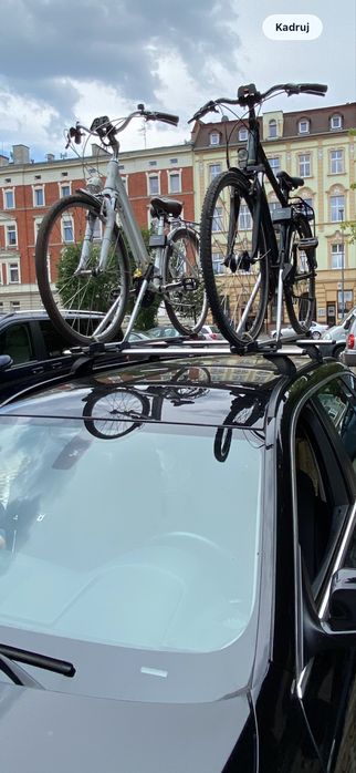 Bagznik rowerowy