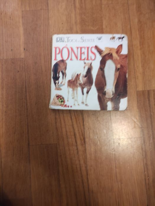 Sortido de livros didáticos