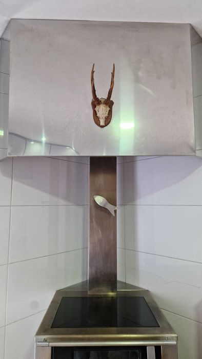 Salamandra a lenha inox que dá para cozinhar com placa e forno