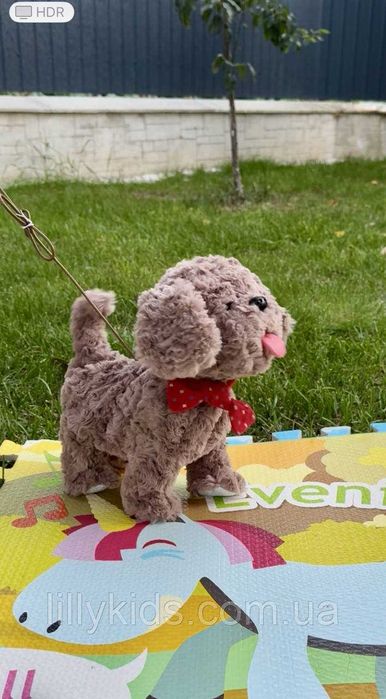 М'яка інтерактивна собачка на повідку Кращий друг BF2503, УКР мова
