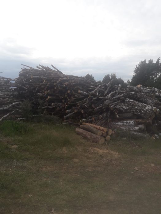 Drewno opałowe z transportem