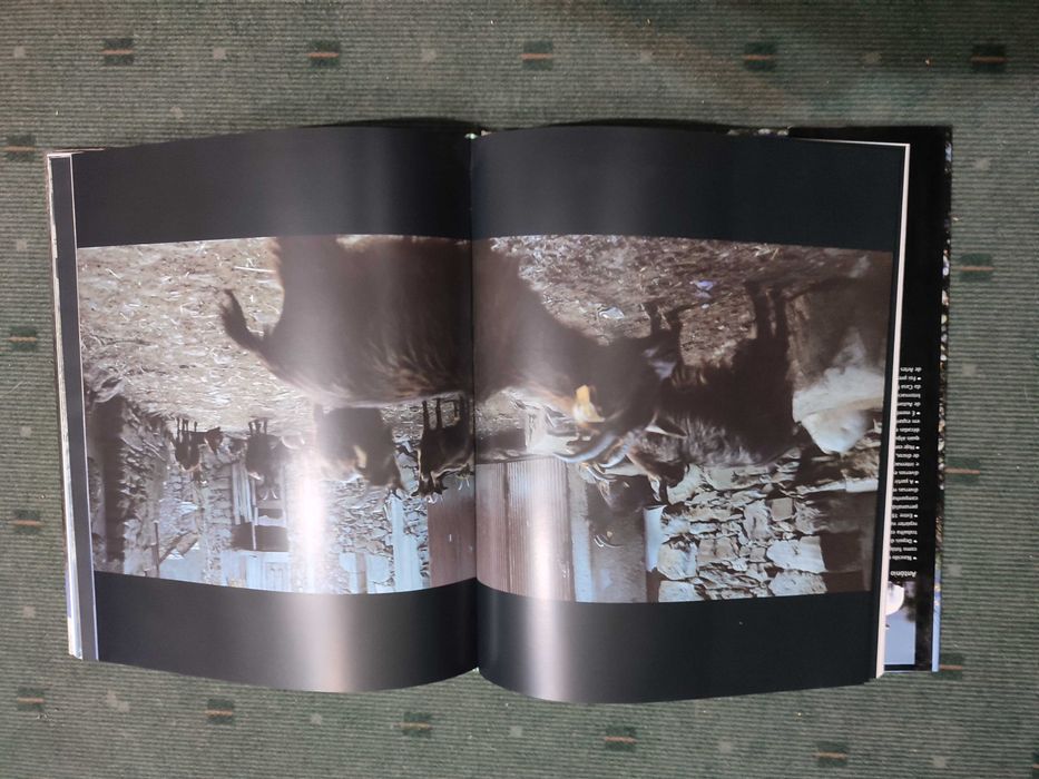 Distrito de Viseu Terra de Alegrar o Coração - António Homem Cardoso