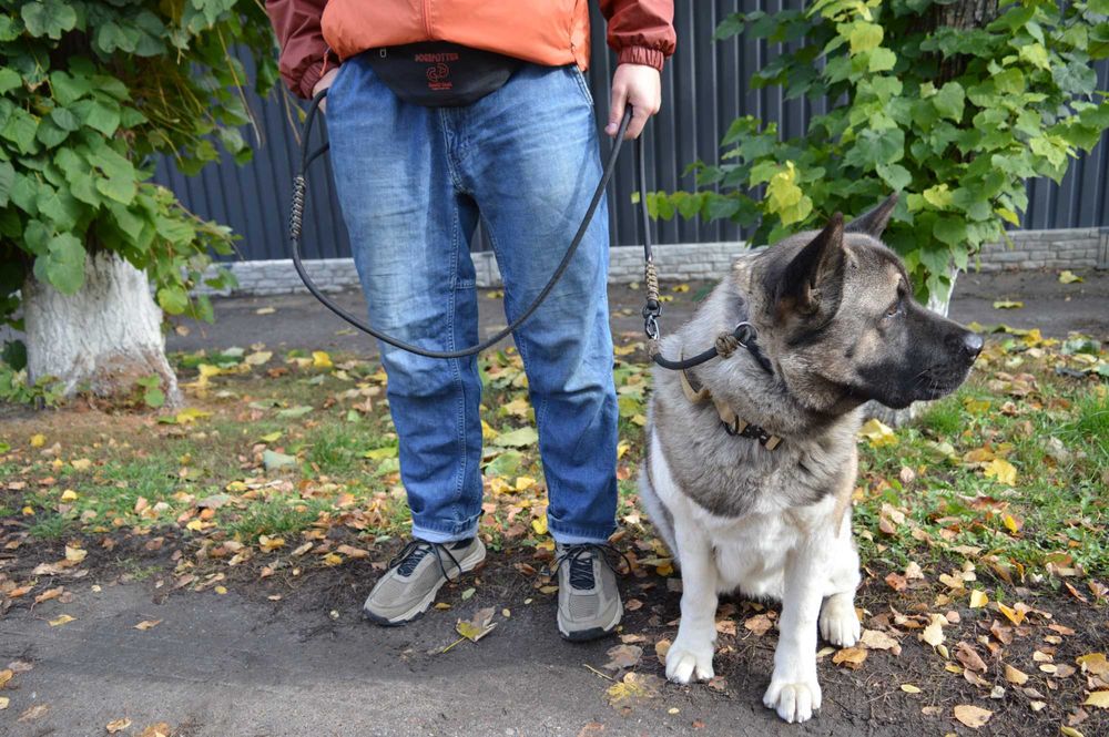 Новинка! Повідок контролер Dogspotter Gen.II Роздільна система 10мм