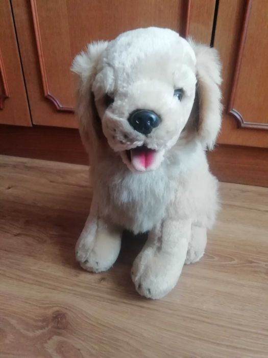 М'яка іграшка собака.