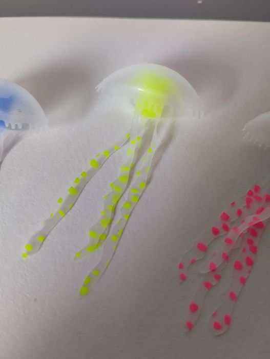 Medusas arteriais para aquário