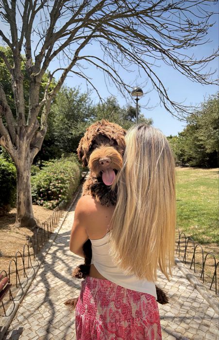 Estadias para cães/Pet Sitter & Dog Walker [Lisboa]