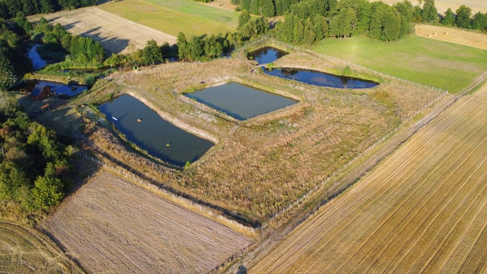 RANCZO. Domek 6 osobowy (5 stawów) 2km od jeziora FIRLEJ