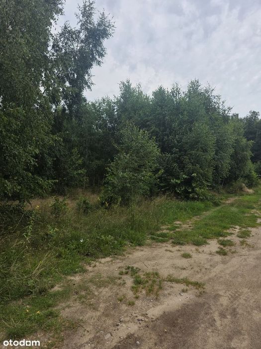 Działka budowlana blisko jeziora – atrakcyjna lokalizacja - Widok 3