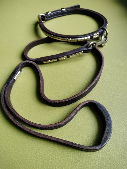 Шлея для собаки Європа