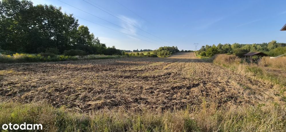 Działka rolno-budowlana w spokojnej okolicy - Więcej