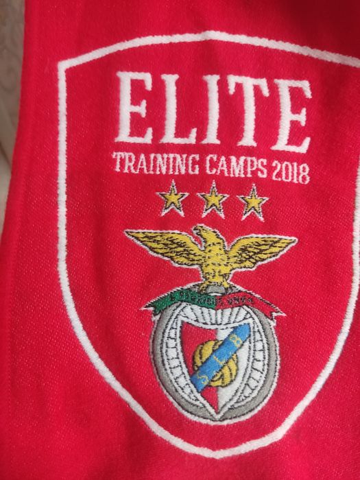 Футбольные шарфики Украина и Европа