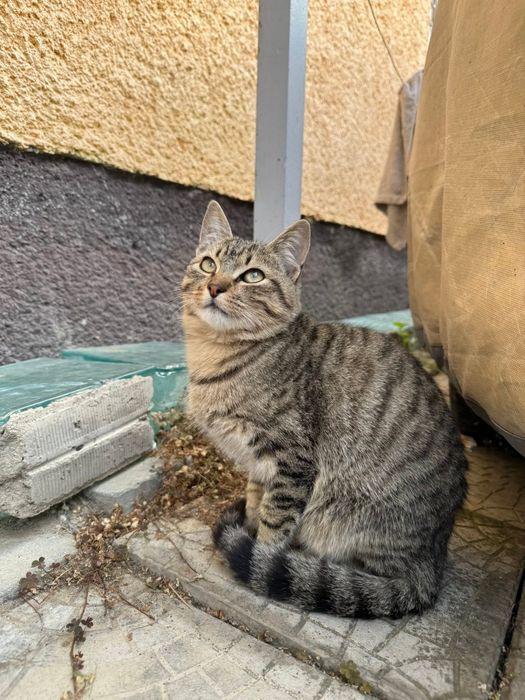 Підліток в хороші руки