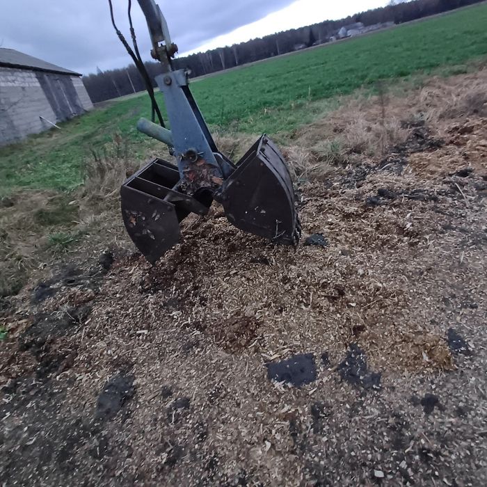 Ladowacz cyklop polski