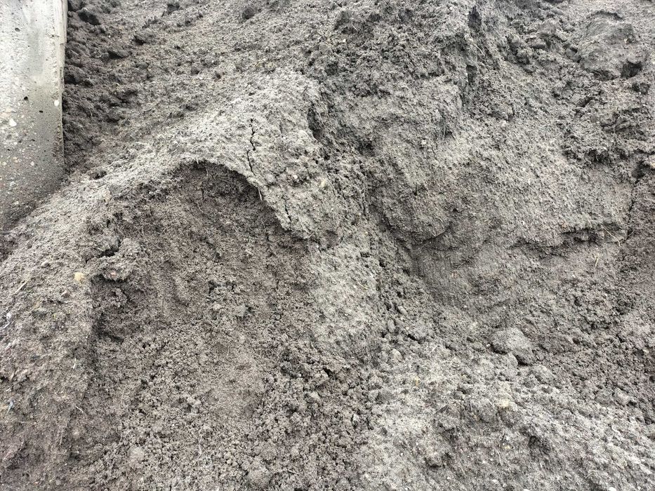 Czarnoziem ziemia pod trawnik ogród i warzywa