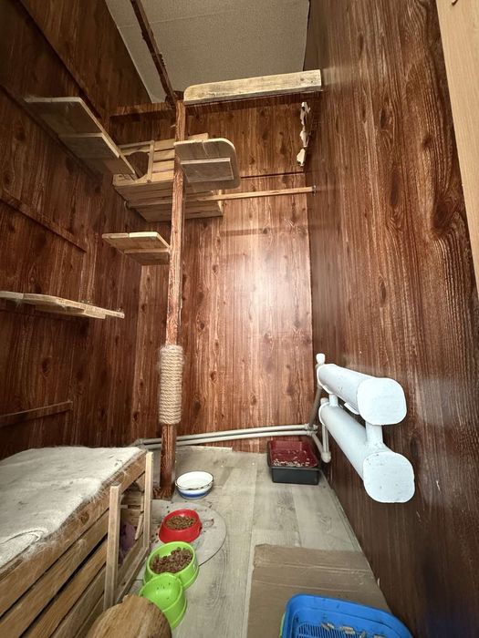 Домашня перетримка (хвостиків)