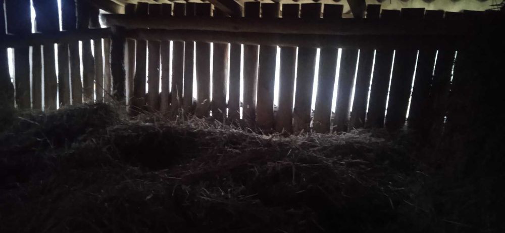 Продам сіно лугове ціна договірна