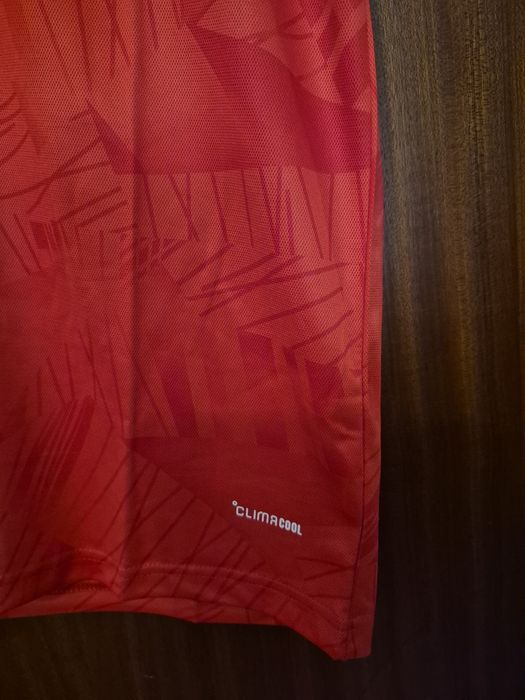 Camisola SLB tam.xl