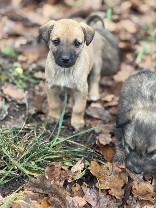 Хлопак, два з половиною місяці