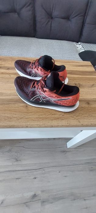 Buty Asics evoride 2