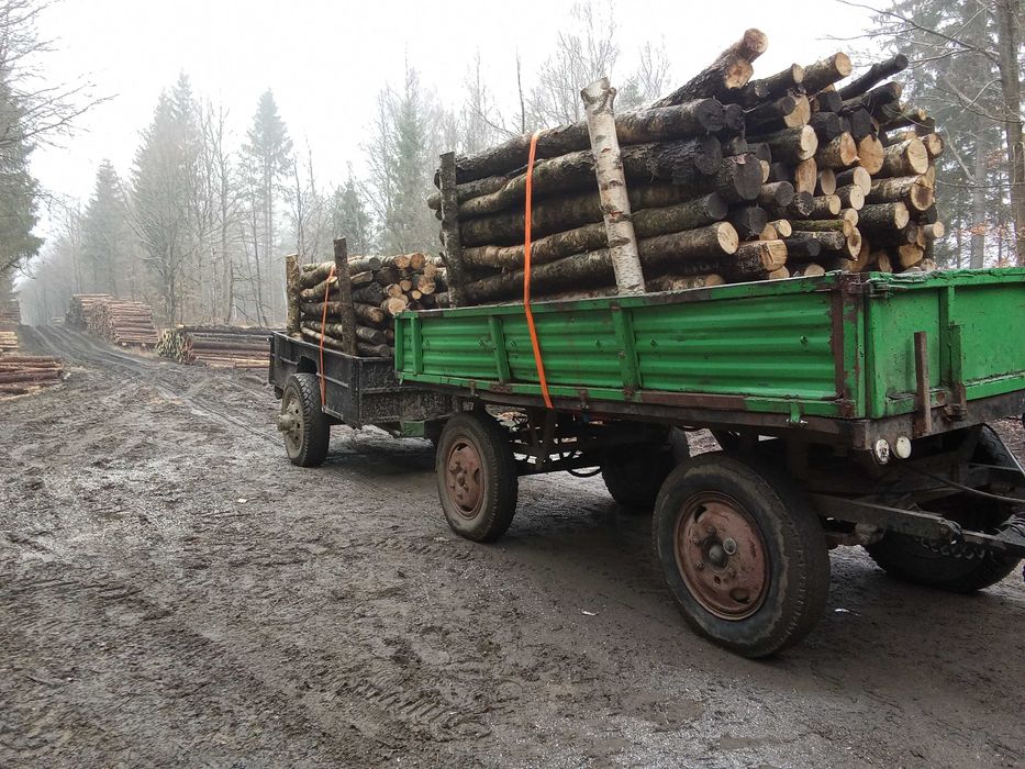 Drewno kominkowe/ opałowe transport gratis