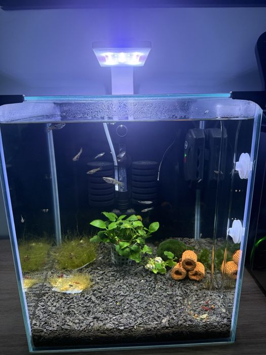 Akwiarium kostka ze wszystkim