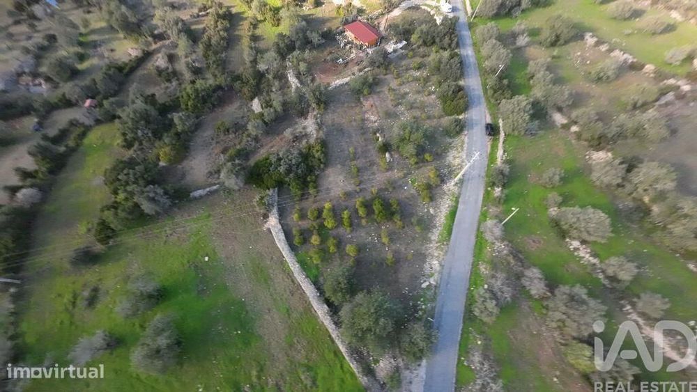 Terreno Agrícola em Conceição e Estoi